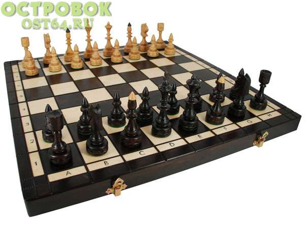 Шахматы ИНДИЙСКИЕ средние 123, 48Х48Х3.0