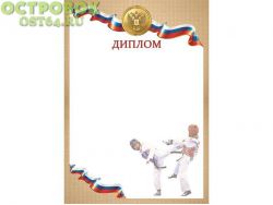 Диплом Тхэквондо D22, 00025154