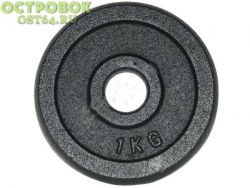 Диск крашеный d26мм, 1.00 кг, HKPL101, 00024439